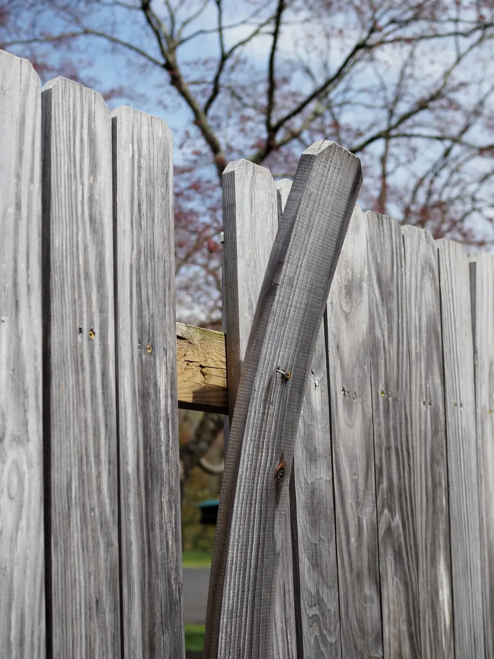 Broken board hanging loose in a weathered wooden privacy fence