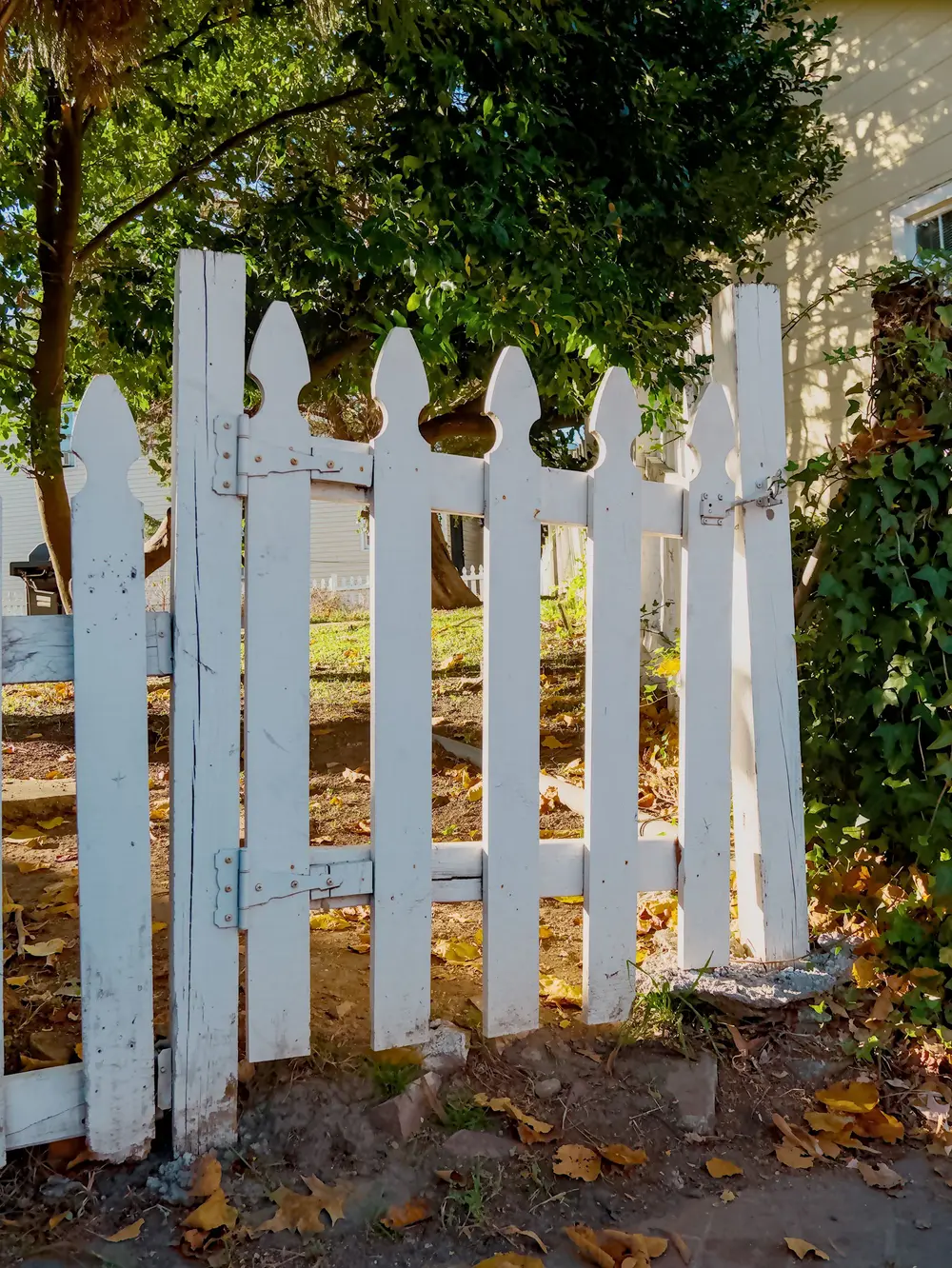 White picket fence gate in a sunlit side yard